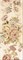 Arezzo Beige Decor Alba 20.1x50.5 - фото 70825