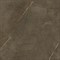 Assuan Brown 59,6x59,6 - фото 71795