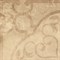 Arezzo Fiore Crema 45х45