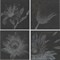 Decor Sophistication Mix Black 20*20 - фото 72194