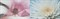 Ligne Fun I 20x60 - фото 72217