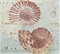 Purity Decor Ocean II Aqua 22,5x25 - фото 72257