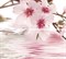 Decor Goa Sol -2 (комплект 2 плитки) 60*54