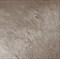 CAVALLINO BRONCE 45*45 - фото 73450