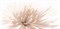 EA2L051 Emma White 29.7x60 - фото 74902