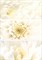 APG053D Avelia 20x44 Mix - фото 75041