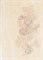 U-TRA-WIC301 Trawertino Beige inserto Muszla 35х25 - фото 75283