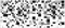 SB2G441 SINDIDEAL INSERT1 20X44 G1 - фото 75341
