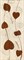 Oxia Gold ins. 20*50 - фото 75411
