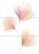 FJ2T293DT FLAVIS PINK FLOWER PANNO 60X44 GQ
