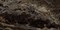 Плитка MMAK Allmarble Frappucino Lux 58*116