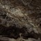 Плитка MMGF Allmarble Frappucino Lux 58*58