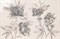 Декор Imperfetto Pearl Flore 65x97 MLXK - фото 76384
