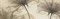 Декор Loury I Cream 20х60 - фото 78128