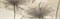 Декор Loury II Cream 20х60 - фото 78129