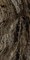 Керамогранит Grande Marble Look Frappuccino rett. 120х240 - фото 80018