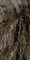 Керамогранит Grande Marble Look Frappuccino Lux rett. 120х240 - фото 80021